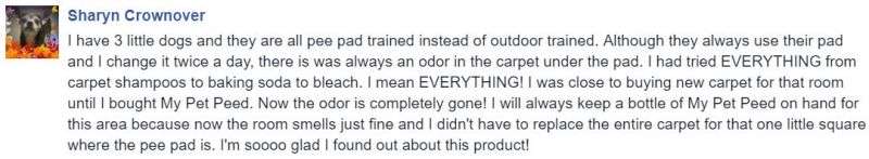  <a href='https://www.mypetpeed.com/review_groups/carpet/'>Carpet</a>, <a href='https://www.mypetpeed.com/review_groups/dog/'>Dog</a>, <a href='https://www.mypetpeed.com/review_groups/joe/'>Joe</a>, <a href='https://www.mypetpeed.com/review_groups/odor/'>Odor</a>, <a href='https://www.mypetpeed.com/review_groups/urine/'>Urine</a>
