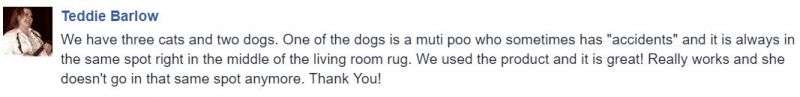  <a href='https://www.mypetpeed.com/review_groups/cat/'>Cat</a>, <a href='https://www.mypetpeed.com/review_groups/dog/'>Dog</a>, <a href='https://www.mypetpeed.com/review_groups/quit-returning-to-area/'>Quit Returning To Area</a>, <a href='https://www.mypetpeed.com/review_groups/urine/'>Urine</a>