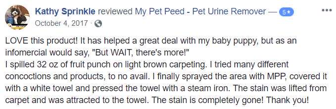  <a href='https://www.mypetpeed.com/review_groups/carpet/'>Carpet</a>, <a href='https://www.mypetpeed.com/review_groups/dog/'>Dog</a>, <a href='https://www.mypetpeed.com/review_groups/joe/'>Joe</a>, <a href='https://www.mypetpeed.com/review_groups/stains/'>Stains</a>