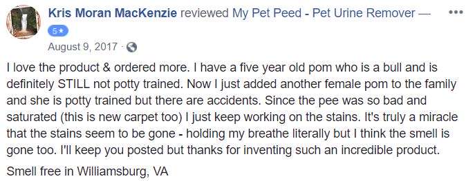  <a href='https://www.mypetpeed.com/review_groups/dog/'>Dog</a>, <a href='https://www.mypetpeed.com/review_groups/joe/'>Joe</a>, <a href='https://www.mypetpeed.com/review_groups/odor/'>Odor</a>, <a href='https://www.mypetpeed.com/review_groups/stains/'>Stains</a>, <a href='https://www.mypetpeed.com/review_groups/urine/'>Urine</a>