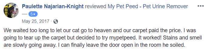  <a href='https://www.mypetpeed.com/review_groups/cat/'>Cat</a>, <a href='https://www.mypetpeed.com/review_groups/joe/'>Joe</a>, <a href='https://www.mypetpeed.com/review_groups/odor/'>Odor</a>, <a href='https://www.mypetpeed.com/review_groups/stains/'>Stains</a>
