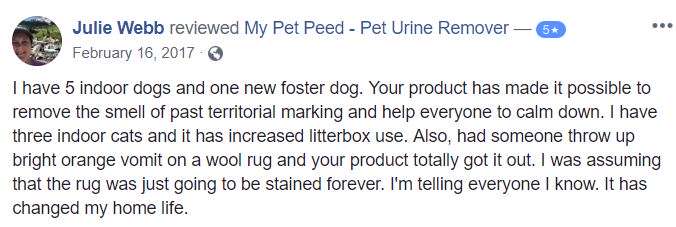  <a href='https://www.mypetpeed.com/review_groups/cat/'>Cat</a>, <a href='https://www.mypetpeed.com/review_groups/dog/'>Dog</a>, <a href='https://www.mypetpeed.com/review_groups/joe/'>Joe</a>, <a href='https://www.mypetpeed.com/review_groups/odor/'>Odor</a>, <a href='https://www.mypetpeed.com/review_groups/quit-returning-to-area/'>Quit Returning To Area</a>, <a href='https://www.mypetpeed.com/review_groups/rug/'>Rug</a>, <a href='https://www.mypetpeed.com/review_groups/stains/'>Stains</a>, <a href='https://www.mypetpeed.com/review_groups/urine/'>Urine</a>, <a href='https://www.mypetpeed.com/review_groups/vomit/'>Vomit</a>