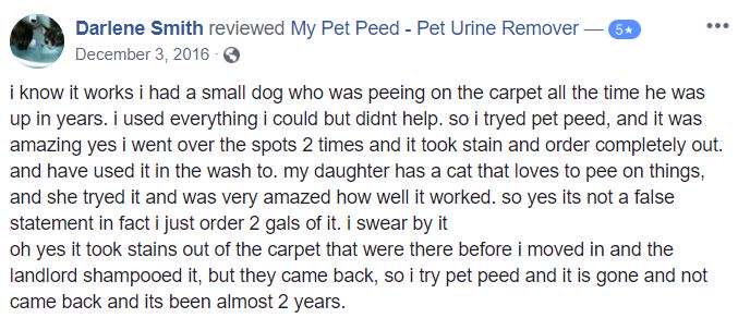  <a href='https://www.mypetpeed.com/review_groups/carpet/'>Carpet</a>, <a href='https://www.mypetpeed.com/review_groups/cat/'>Cat</a>, <a href='https://www.mypetpeed.com/review_groups/dog/'>Dog</a>, <a href='https://www.mypetpeed.com/review_groups/joe/'>Joe</a>, <a href='https://www.mypetpeed.com/review_groups/odor/'>Odor</a>, <a href='https://www.mypetpeed.com/review_groups/old-stains/'>Old Stains</a>, <a href='https://www.mypetpeed.com/review_groups/stains/'>Stains</a>, <a href='https://www.mypetpeed.com/review_groups/urine/'>Urine</a>